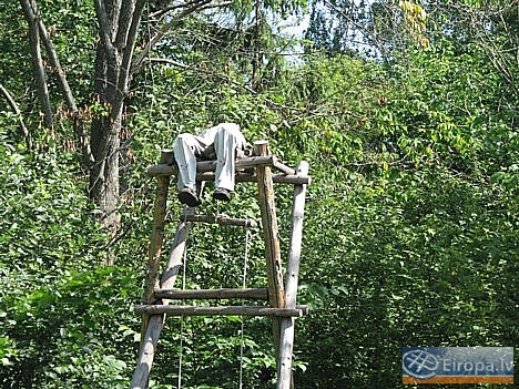 Pirms pāris gadiem parkā notika koktēlnieku simpozijs, kura laikā iekārtots simboliska moku ieleja, kas veltīta 1905. gada traģiskajiem notikumiem Pirms pāris gadiem parkā notika koktēlnieku simpozijs, kura laikā iekārtots simboliska moku ieleja, kas veltīta 1905. gada traģiskajiem notikumiem 14714
