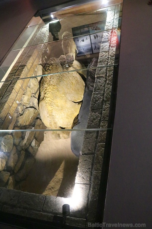 Travelnews.lv apmeklē arheoloģisko centru «Mleiha Archaeological Centre» Malehā. Atbalsta: VisitSharjah.com un Novatours.lv 270638