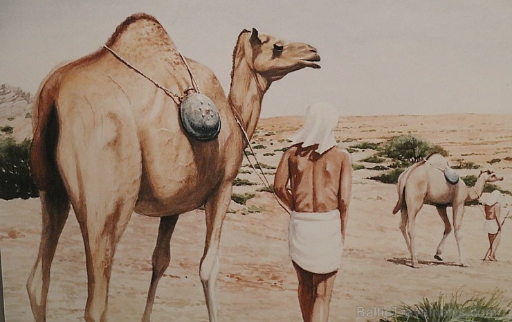 Travelnews.lv apmeklē Šārdžas arheoloģijas muzeju Apvienotajos Arābu Emirātos. Atbalsta: VisitSharjah.com un Novatours.lv 271384