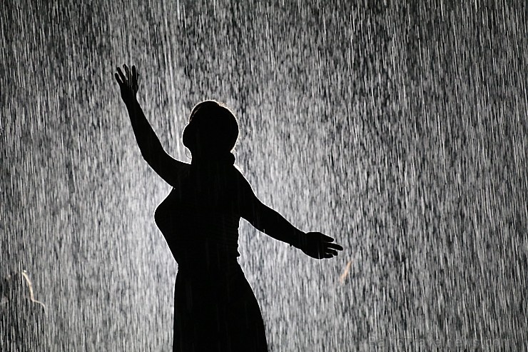 Travelnews.lv izbauda vienreizēju «Sharjah Rain Room» lietus burvību. Atbalsta: VisitSharjah.com un Novatours.lv Travelnews.lv izbauda vienreizēju «Sharjah Rain Room» lietus burvību. Atbalsta: VisitSharjah.com un Novatours.lv 272118