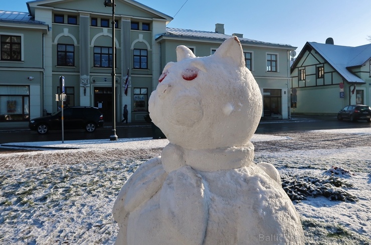 Cauri deviņām Latvijas kaprīzajām ziemām Dobeles dižie sniegavīri ir veiksmīgi atnākuši līdz savam desmitajam saietam 272636