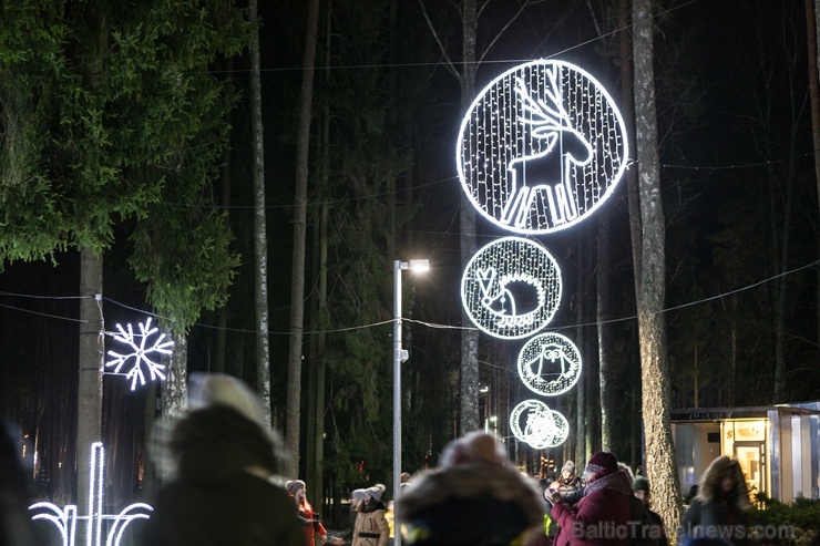 Jau trešo gadu Jūrmalā, Dzintaru mežaparkā, iemirdzējušās gaismas skulptūras un dekori, veidoti no tūkstošiem LED lampiņu virtenēm 272645