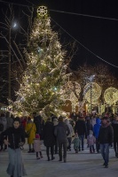 Ogres pilsēta Ziemassvētku gaidīšanas laikā ir mirdzošu lampiņu ieskauta 24