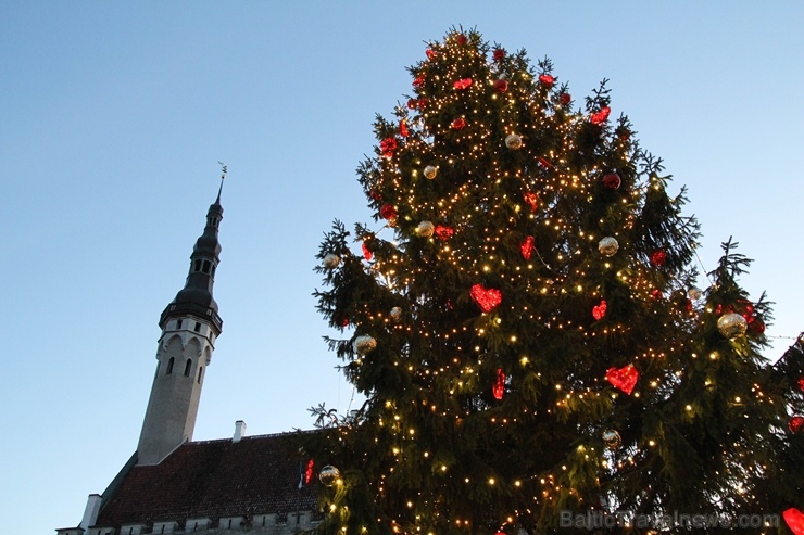 Igaunijas galvaspilsētā Tallinā valda Ziemassvētku noskaņa 272814