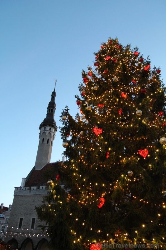 Igaunijas galvaspilsētā Tallinā valda Ziemassvētku noskaņa 272815