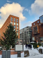 Igaunijas galvaspilsētā Tallinā valda Ziemassvētku noskaņa 2