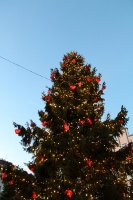 Igaunijas galvaspilsētā Tallinā valda Ziemassvētku noskaņa 10