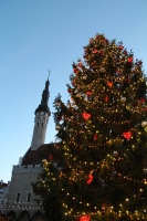 Igaunijas galvaspilsētā Tallinā valda Ziemassvētku noskaņa 12