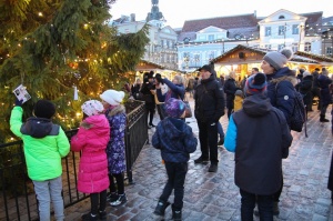 Igaunijas galvaspilsētā Tallinā valda Ziemassvētku noskaņa 13