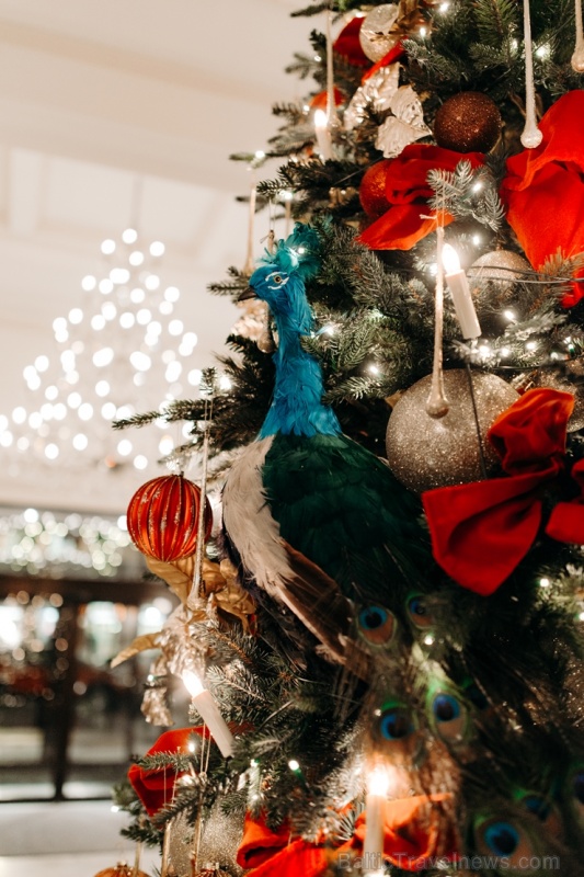 Viesnīca Grand Hotel Kempinski turpinot tradīciju pulcē rīdziniekus uz svinīgo Ziemassvētku egles iedegšanas ceremoniju 272860