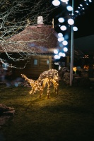 Tuvojoties Ziemassvētkiem, atpūtas centrs LIDO iemirdzējies īpaši spoži 12