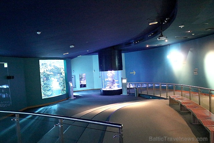 Travelnews.lv apmeklē zemūdens pasauli «Sharjah Aquarium». Atbalsta: VisitSharjah.com un Novatours.lv 272952