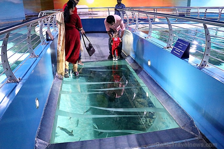Travelnews.lv apmeklē zemūdens pasauli «Sharjah Aquarium». Atbalsta: VisitSharjah.com un Novatours.lv 272953