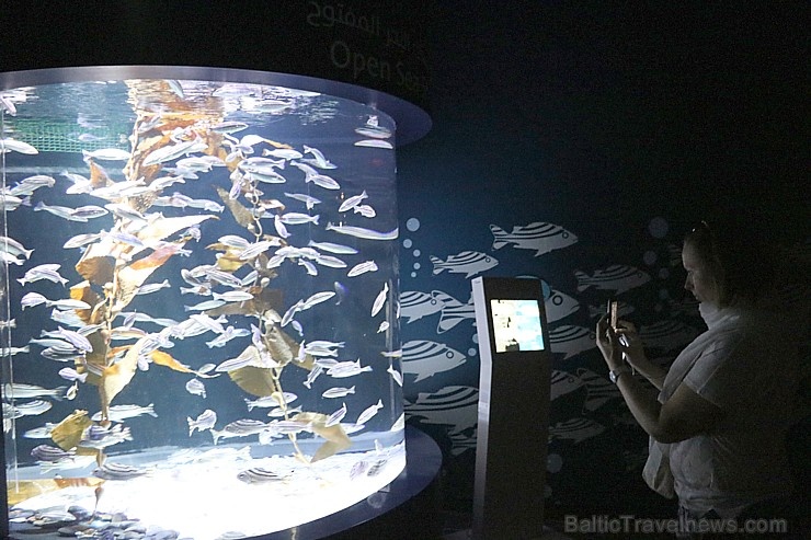 Travelnews.lv apmeklē zemūdens pasauli «Sharjah Aquarium». Atbalsta: VisitSharjah.com un Novatours.lv 272954