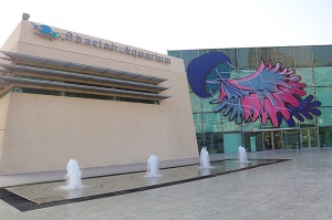 Travelnews.lv apmeklē zemūdens pasauli «Sharjah Aquarium». Atbalsta: VisitSharjah.com un Novatours.lv 3