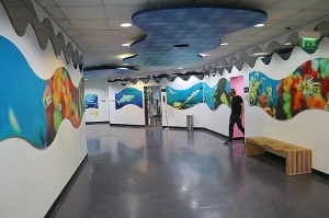 Travelnews.lv apmeklē zemūdens pasauli «Sharjah Aquarium». Atbalsta: VisitSharjah.com un Novatours.lv 8