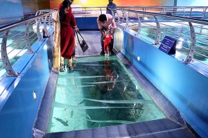 Travelnews.lv apmeklē zemūdens pasauli «Sharjah Aquarium». Atbalsta: VisitSharjah.com un Novatours.lv 10