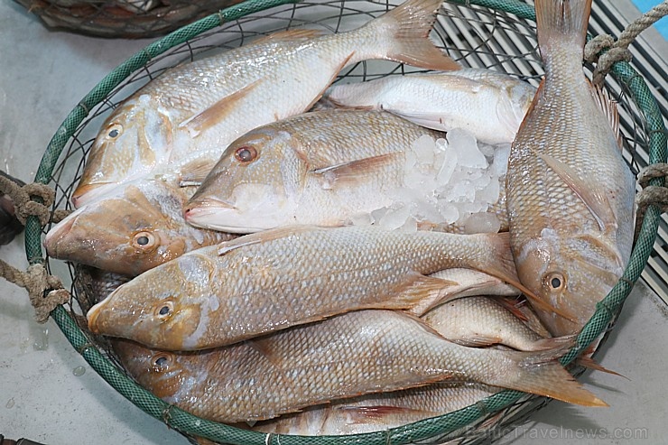 Travelnews.lv apmeklē Šārdžas zivju tirgus izsoli un ekskluzīvi iekļūst ostas zonā. Atbalsta: VisitSharjah.com un Novatours.lv 273220
