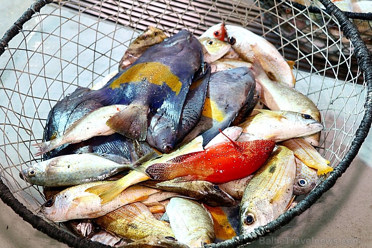Travelnews.lv apmeklē Šārdžas zivju tirgus izsoli un ekskluzīvi iekļūst ostas zonā. Atbalsta: VisitSharjah.com un Novatours.lv 273221