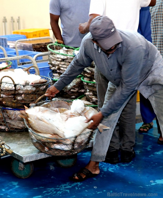 Travelnews.lv apmeklē Šārdžas zivju tirgus izsoli un ekskluzīvi iekļūst ostas zonā. Atbalsta: VisitSharjah.com un Novatours.lv 273225