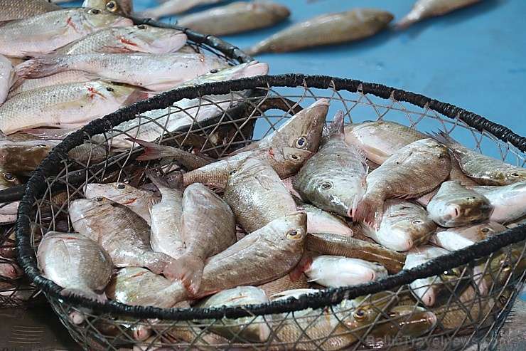 Travelnews.lv apmeklē Šārdžas zivju tirgus izsoli un ekskluzīvi iekļūst ostas zonā. Atbalsta: VisitSharjah.com un Novatours.lv 273233