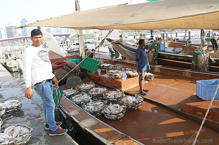 Travelnews.lv apmeklē Šārdžas zivju tirgus izsoli un ekskluzīvi iekļūst ostas zonā. Atbalsta: VisitSharjah.com un Novatours.lv 273238