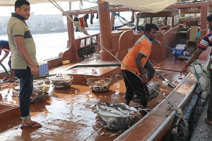 Travelnews.lv apmeklē Šārdžas zivju tirgus izsoli un ekskluzīvi iekļūst ostas zonā. Atbalsta: VisitSharjah.com un Novatours.lv 32
