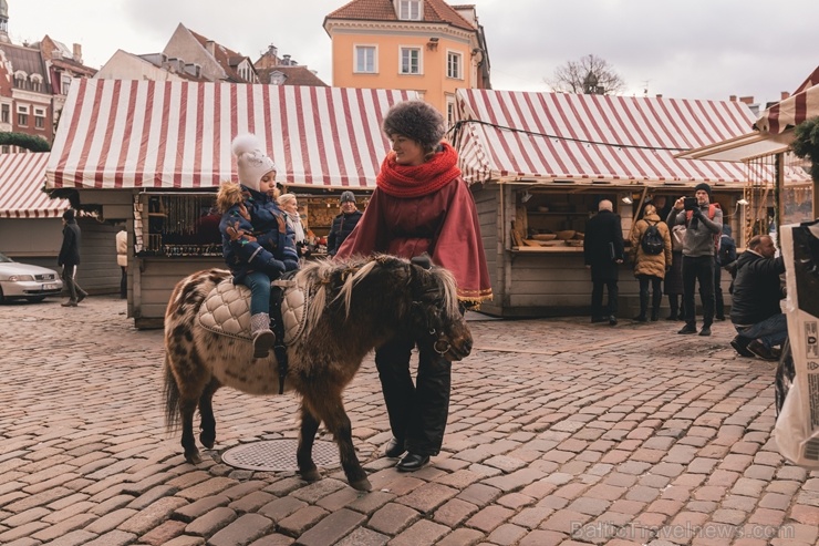 Vecrīgas Ziemassvētku tirdziņš pulcē gan vietējos rīdziniekus, gan pilsētas viesus 273277