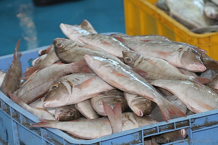 Travelnews.lv apmeklē Šārdžas zivju un gaļas tirgus paviljonu. Atbalsta: VisitSharjah.com un Novatours.lv 273434