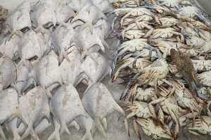 Travelnews.lv apmeklē Šārdžas zivju un gaļas tirgus paviljonu. Atbalsta: VisitSharjah.com un Novatours.lv 20