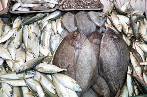 Travelnews.lv apmeklē Šārdžas zivju un gaļas tirgus paviljonu. Atbalsta: VisitSharjah.com un Novatours.lv 22