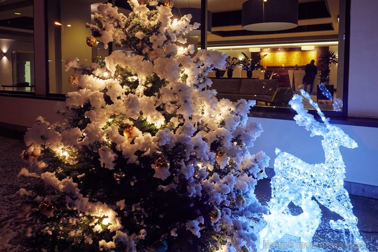 Oficiālā Santa Klausa lidsabiedrība ««Finnair» rīko Ziemassvētku pasākumu sadarbības partneriem viesnīcā «Radisson Blu Daugava Hotel». Foto: Yuris Zal 273687