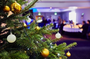 Oficiālā Santa Klausa lidsabiedrība ««Finnair» rīko Ziemassvētku pasākumu sadarbības partneriem viesnīcā «Radisson Blu Daugava Hotel». Foto: Yuris Zal 34