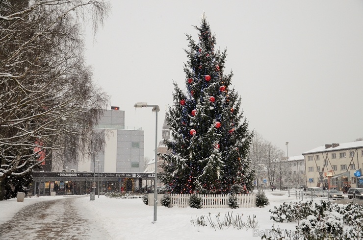 Ziemassvētku egle Valmierā 273824
