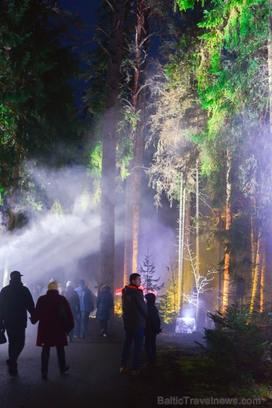Skaņākalna dabas parkā Mazsalacā Ziemassvētkos iedegās tūkstošiem gaismiņu pasākumā Skaņākalna dabas parkā Mazsalacā Ziemassvētkos iedegās tūkstošiem gaismiņu pasākumā