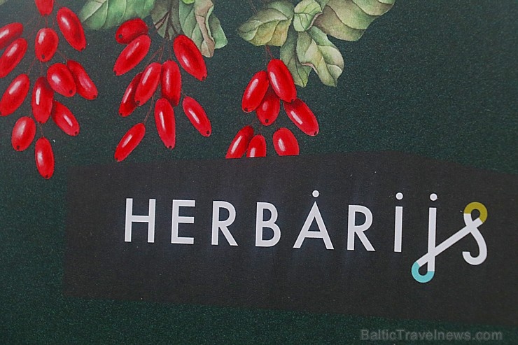 Ar sirsnīgām pusdienām restorānā «Herbārijs» aizsākusies kampaņa «Cilvēks, nevis diagnoze» 274842