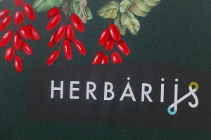 Ar sirsnīgām pusdienām restorānā «Herbārijs» aizsākusies kampaņa «Cilvēks, nevis diagnoze» 3