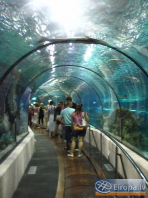 L'Aquàrium Barcelona - www.aquariumbcn.com 14952