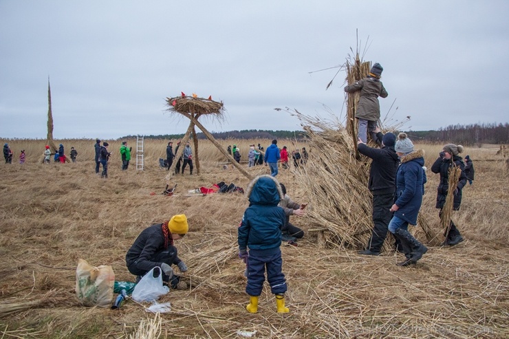 Niedru skulptūru festivāls ik gadu ļauj radoši izpausties un aizraujoši pavadīt laiku svaigā gaisā īpaši aizsargājamā dabas teritorijā 276919