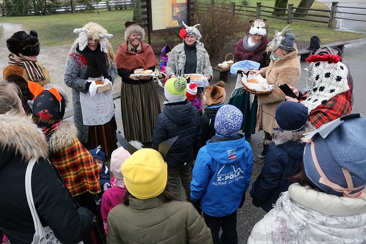 Turaidas muzejrezervātā lustīgi svin latviešu gadskārtu svētkus – Meteņus, iezīmējot zemnieku jaunā gada sākumu un simboliski metot gadskārtu metus uz 277055
