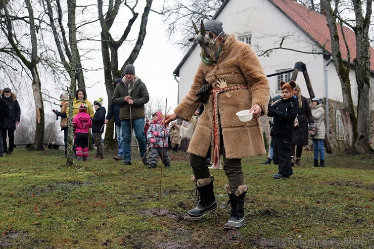Turaidas muzejrezervātā lustīgi svin latviešu gadskārtu svētkus – Meteņus, iezīmējot zemnieku jaunā gada sākumu un simboliski metot gadskārtu metus uz 277072