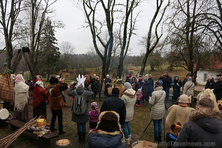 Turaidas muzejrezervātā lustīgi svin latviešu gadskārtu svētkus – Meteņus, iezīmējot zemnieku jaunā gada sākumu un simboliski metot gadskārtu metus uz 277074