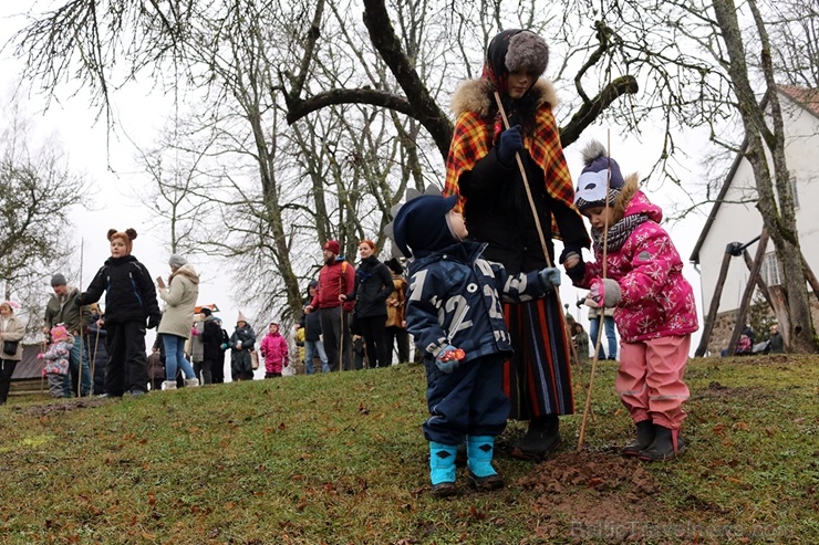 Turaidas muzejrezervātā lustīgi svin latviešu gadskārtu svētkus – Meteņus, iezīmējot zemnieku jaunā gada sākumu un simboliski metot gadskārtu metus uz 277075