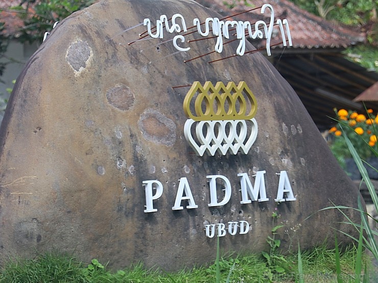 Travelnews.lv iepazīst ainavisku Bali viesnīcu «Padma Resort Ubud». Atbalsta: «Turkish Airlines» un «365 Brīvdienas» 279156