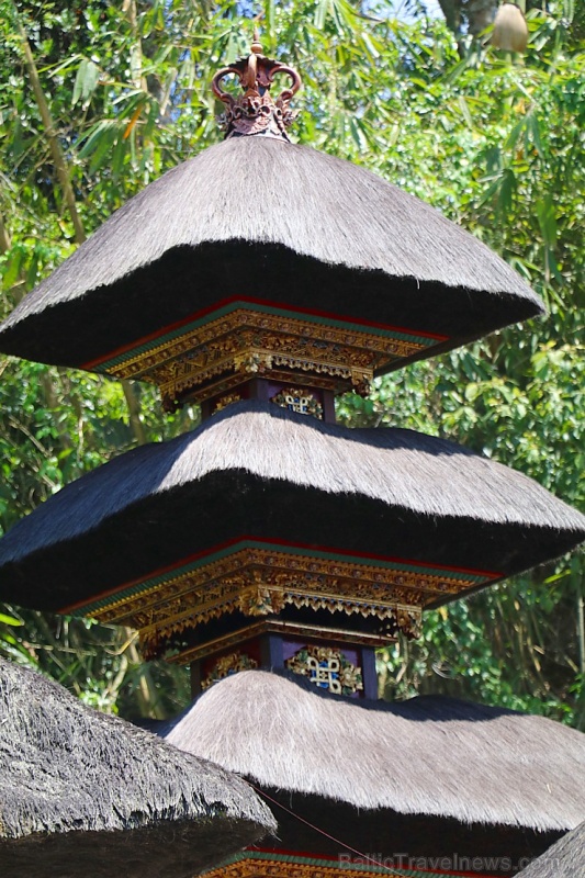 Travelnews.lv apmeklē avotu templi «Pura Gunung Kawi» Bali salā. Atbalsta: «Turkish Airlines» un «365 Brīvdienas» 279256
