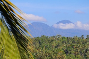 Travelnews.lv izbauda Bali džungļu viesnīcas «Ayung Resort Ubud» brokastis. «Turkish Airlines» un «365 Brīvdienas» 30