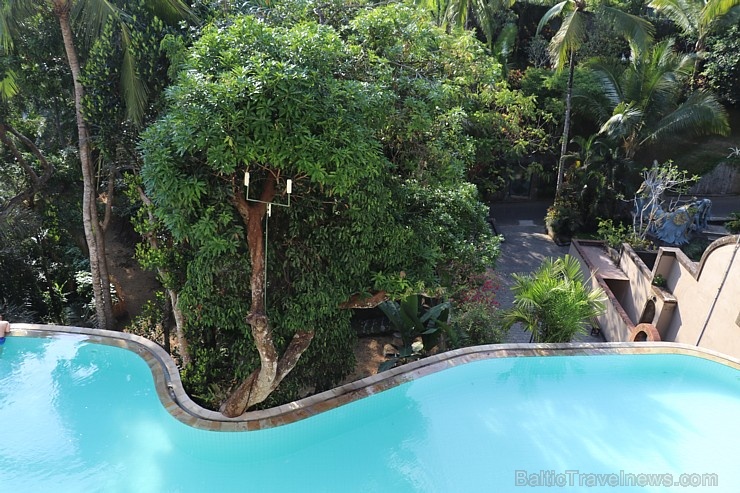 Travelnews.lv iepazīst Bali džungļu viesnīcu «Ayung Resort Ubud» un tās teritoriju.  «Turkish Airlines» un «365 Brīvdienas» 279935