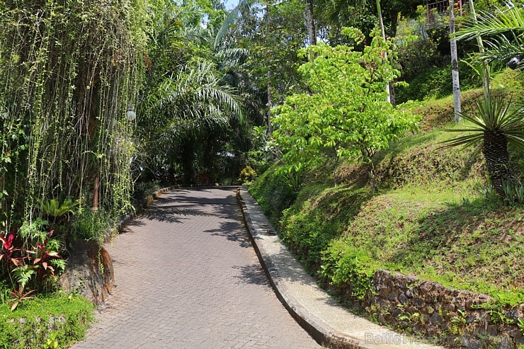 Travelnews.lv iepazīst Bali džungļu viesnīcu «Ayung Resort Ubud» un tās teritoriju.  «Turkish Airlines» un «365 Brīvdienas» 279939