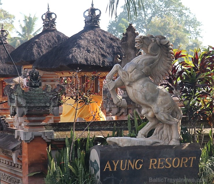 Travelnews.lv iepazīst Bali džungļu viesnīcu «Ayung Resort Ubud» un tās teritoriju.  «Turkish Airlines» un «365 Brīvdienas» 279963