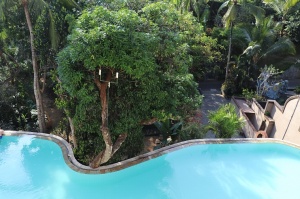 Travelnews.lv iepazīst Bali džungļu viesnīcu «Ayung Resort Ubud» un tās teritoriju.  «Turkish Airlines» un «365 Brīvdienas» 17